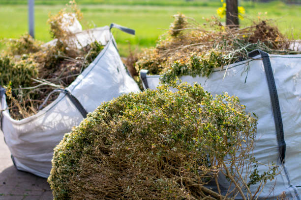 Best Construction Debris Removal  in Henderson, NV